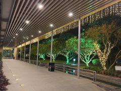 -南宁荔园维景国际大酒店·荔园中餐厅