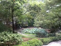 -香港大学