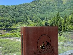 -卧龙中华大熊猫苑神树坪基地