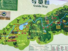 -西双版纳原始森林公园