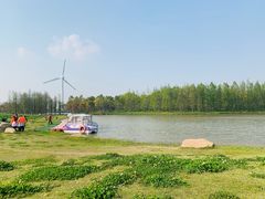 -春花秋色城市公园