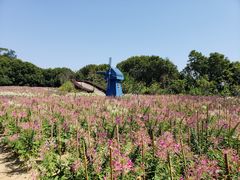 -广州市流溪河国家森林公园