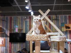 -小时光咖啡馆(开森度假森林店)