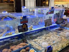 -鲜得莱渔港·小平岛海胆馆(七贤岭店)