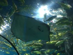 -福州罗源湾海洋世界旅游区