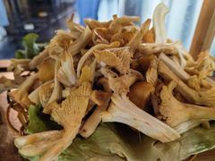-易门野生菌府·菌海森林(月牙潭公园店)