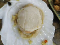 粉丝蒸扇贝-贞姨美食·老字号海鲜大排档