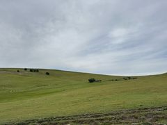 -克什克腾世界地质公园青山景区