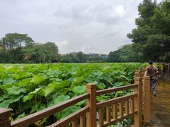 -雀儿山公园
