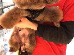 -乐宠宠物店(世纪金源店)