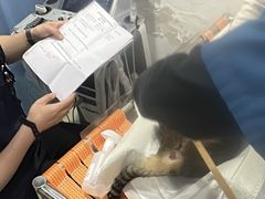 -申普宠物医院·眼科·心内科·影像科(普陀分院)