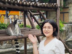 -灵玲国际马戏城