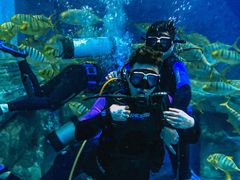 -华夏文旅海洋公园