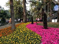 -人民公园(罗湖区)