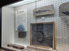 -浙江自然博物院(杭州馆)