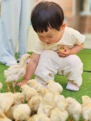 -萌宠亲子动物乐园(槐房万达店)