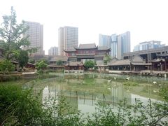 -龙潭水乡