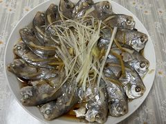 -鲸励母婴月嫂(望京店)