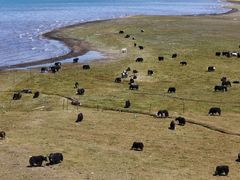 -青海湖国家重点风景名胜区