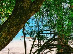 -玫瑰海岸文化旅游度假区