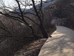 -北京西山国家森林公园