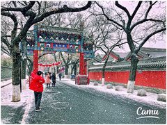 -北京国子监胡同