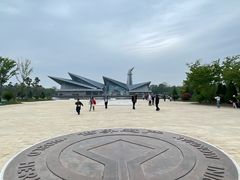 -盐城丹顶鹤湿地生态旅游区