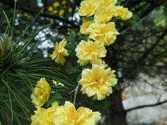 -天津盘山风景名胜区