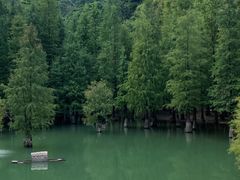 -广州市帽峰山景区