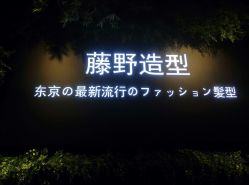 点击看大图 -藤野造型