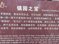 -朴园