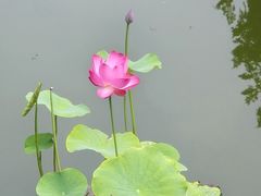 -香山公园
