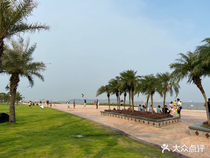 滨海公园图片