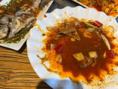 -老号尤兔头(幸福店)