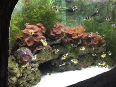 景点-郑州海洋馆