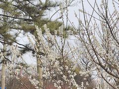 -西安浐灞国家湿地公园