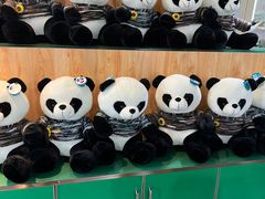 -沈阳森林动物园