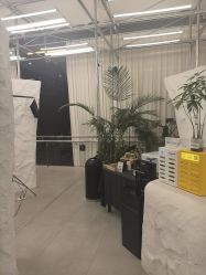 -BOF HAIR BY HONTO