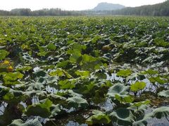 android_upload_pic-三山岛