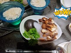 黑鸡枞菌-捞王猪肚鸡火锅(财富中心店)