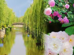 -元大都城垣遗址公园