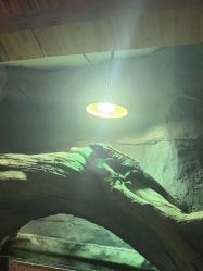 -Zoolung Zoolung动物主题公园(海信广场店)