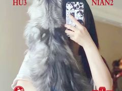 -十年猫舍·猫咪专门店(普陀店)