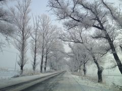 iphone_upload_pic-雾凇岛