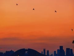 -武汉知音号