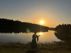 -合肥滨湖国家森林公园