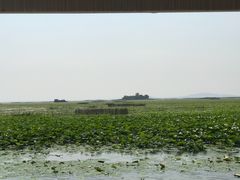 -微山湖红荷湿地景区