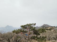 -泰山风景名胜区