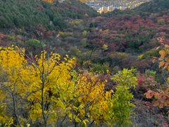 -府君山公园
