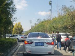 -秀丽东方